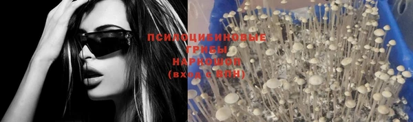 прущая мука Володарск