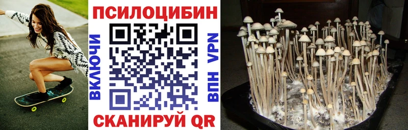 Псилоцибиновые грибы прущие грибы  где найти   ОМГ ОМГ как зайти  Янаул 